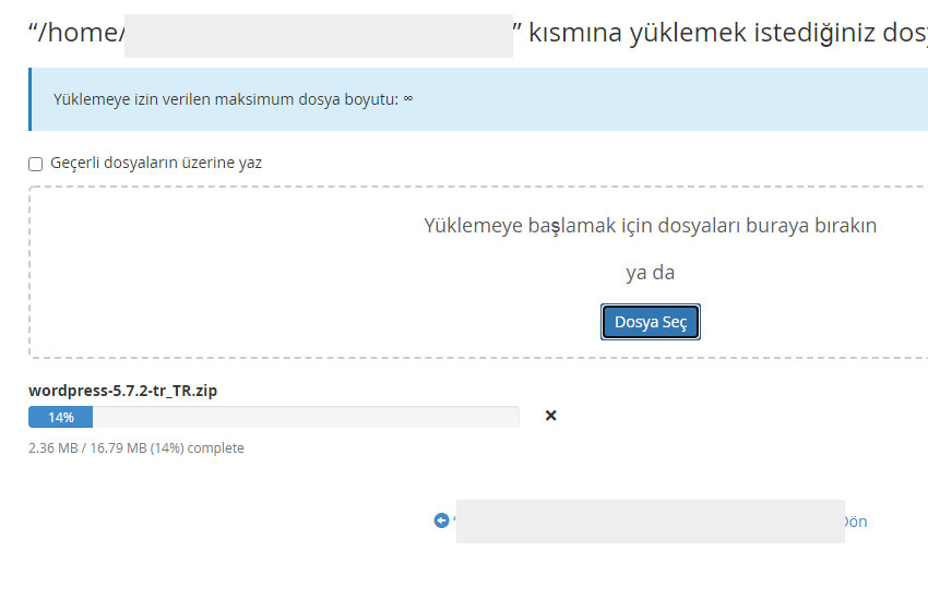 cpanel mauel elle wordpress kurulumu