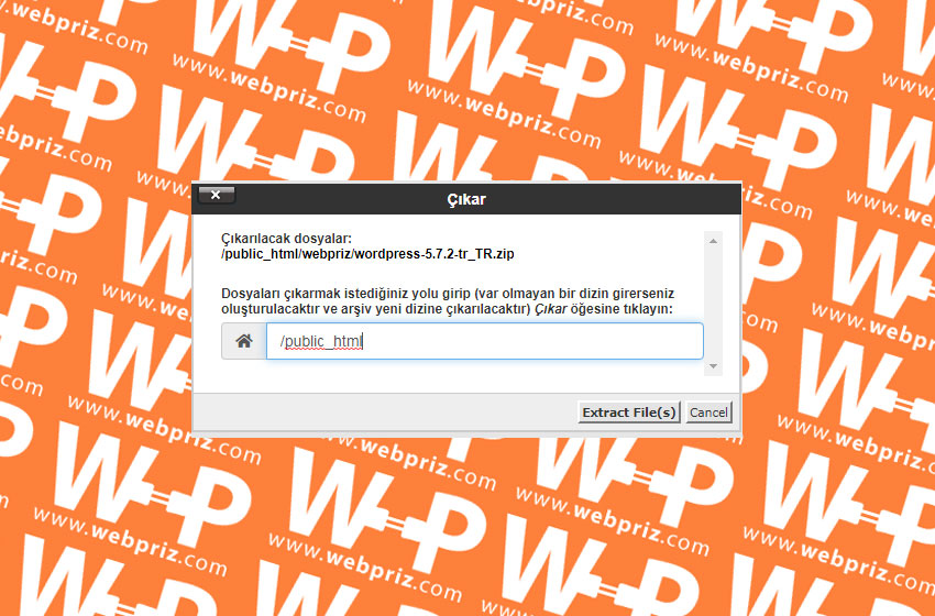 cpanel mauel elle wordpress kurulumu