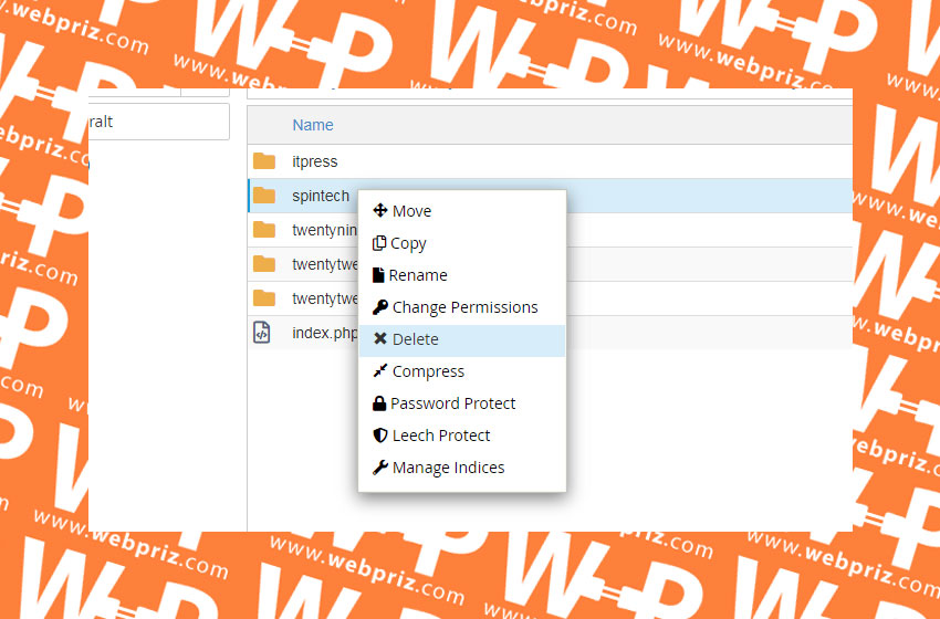 wordpress cpanel tema silme