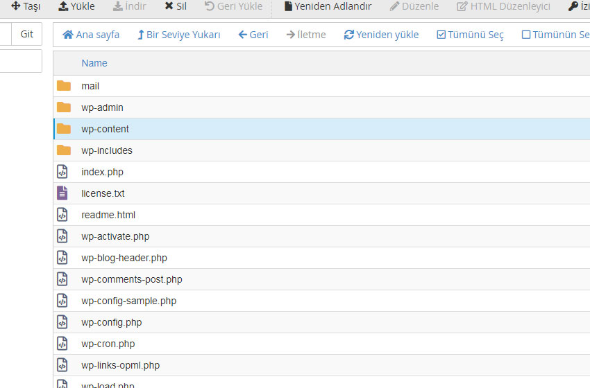 wordpress cpanel tema yükleme