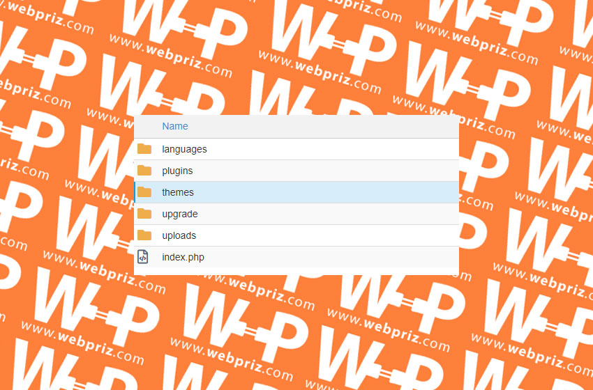 wordpress cpanel tema yükleme