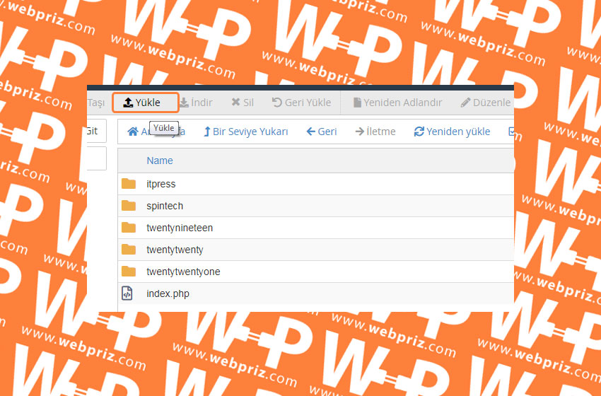 wordpress cpanel tema yükleme