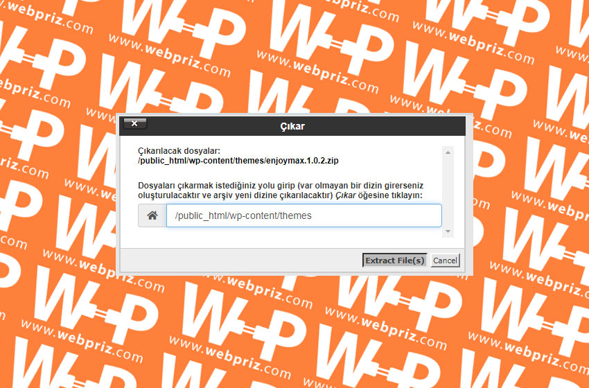 wordpress cpanel tema yükleme