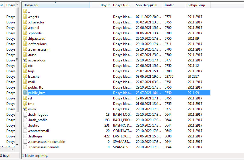 wordpress ftp ile tema dosyasını yükleme