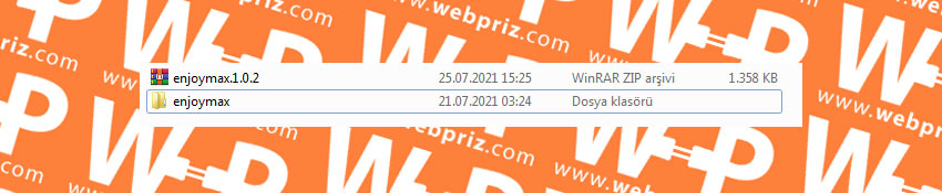 wordpress ftp ile tema dosyasını yükleme