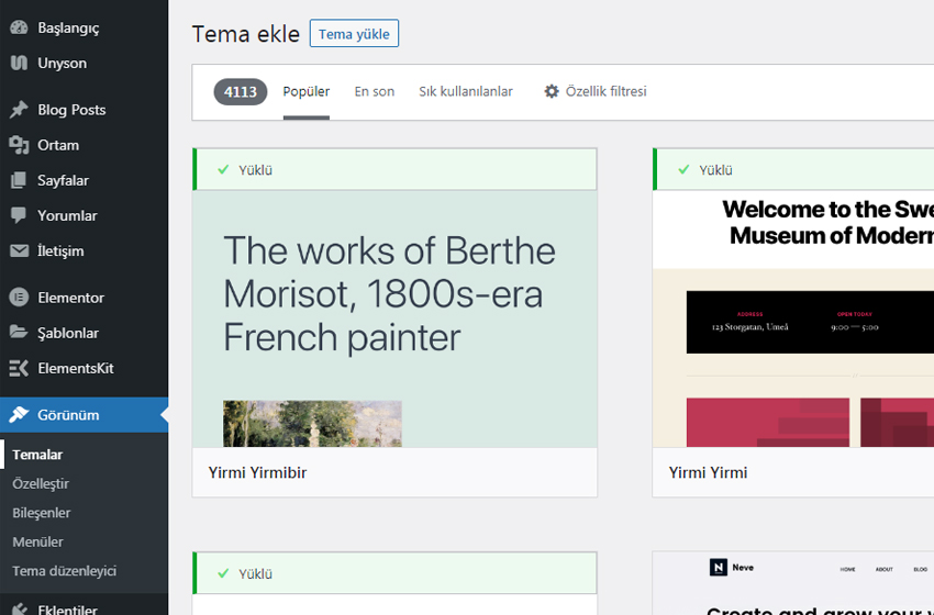 wordpress tema seçimi