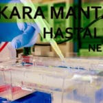 kara mantar hastalığı nedir