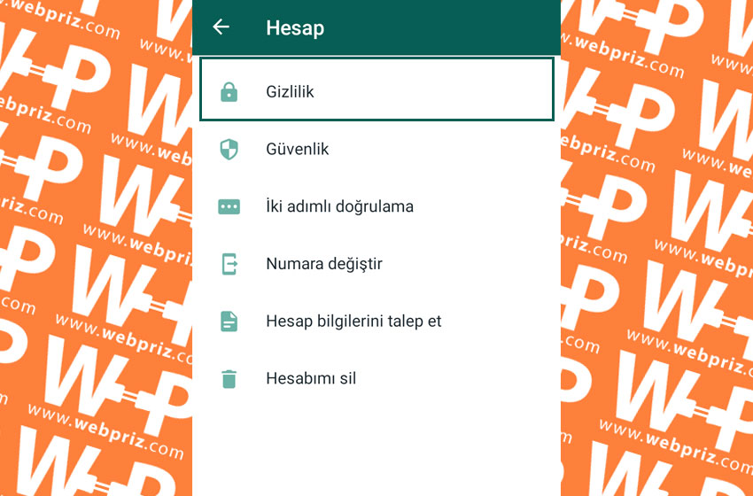 whatsapp hakkımda gizleme